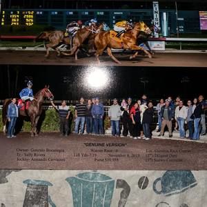 Meet your Posher, Bella